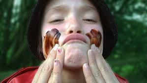 The Hunt for the Wilderpeople (2016)