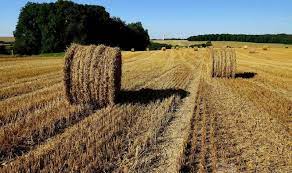 270 000 De Hectare Scoase De La Subventiile Agricole In 2015 Care Este Explicatia
