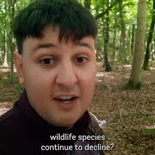 Trees are beautiful all year round! Common hawthorn (Crataegus monogyna) is  a deciduous tree native in the UK and across Europe. Find out more about  this tree species and purchase your own