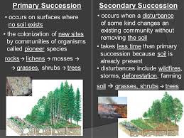 Pin On Informative Studies Maps