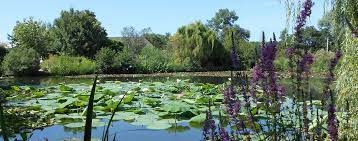 le parc des jardins aquatiques a st didier sur chalaronne 01