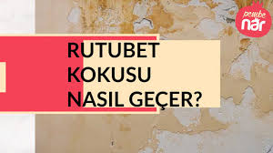 Bu durumda rutubet, kir, toz. Rutubet Kokusunu Ne Giderir Youtube