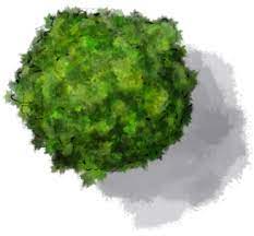How To Colour Quick Trees For Rpg Maps Fantastic Maps Tree Photoshop Tree Drawing Trees Top View