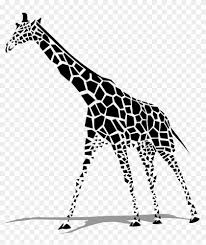 We did not find results for: Zebra Clipart Giraffe Black And White Giraffe Free Transparent Png Clipart Images Download