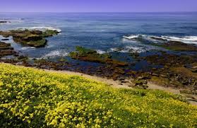The data in this listing is believed to be accurate in our florist directory at the time of posting. La Jolla Tide Pools California Beaches