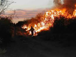Por eso se hace indispensable, capacitar al personal, para seleccionar y usar los equipos de combate de. Monte Coman Incendios Startseite Facebook