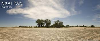 Nxai Pan Botswana Safaris Camps And Lodges