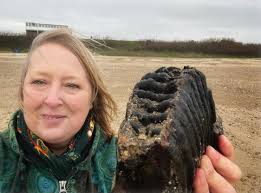A lucky archaeologist made a once-in-a-lifetime discovery upon her visit to  the Essex coast 🕵️‍♀️ Chris Bien, 56, was visiting Holland-on-Sea as part  of her birthday celebrations when she found this mammoth