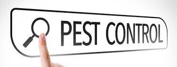 We will use our knowledge and expertise to solve your pest. St Charles Mo Pest Control Services Pest Management Solutions