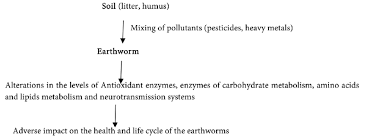 Scheme 1 A Flow Chart Showing Effect Of Soil Pollutants On