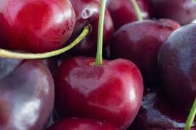 Faktoren und methoden, um sie zu bekämpfen.fast alle obstkulturen mit verschiedenen krankheiten betroffen, ungeziefer.cherry ist keine ausnahme. Kirschen Im Portrat Uberraschende Fakten Ernte Anbau Botanik Guide