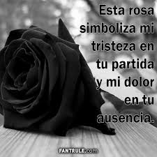 Pin En Vida