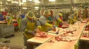 Locuri de muncă creative, posturi vacante în moldova. Caut 80 De Macelari Abator Munca Jobs In Strainatate