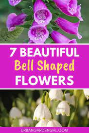 15 Bell Shaped Flowers Urban Garden Gal