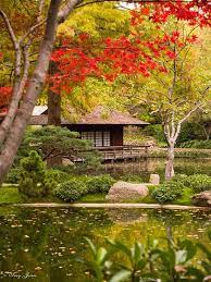Japanese Garden Japanese Garden Japan Garden Japanese Tea House