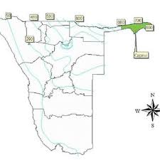 Image result for Dalbergia martinii