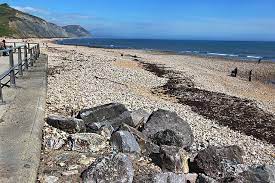 Photo Shingle Beaches Of Charmouth On England S Jurassic Coast Yield A Wealth Of Ancient Fossils Jurassic Coast Beach Charmouth Beach
