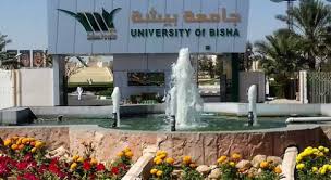 Production began in february 2011. The University Of Bisha Diploma And Undergraduate Scholarship For International Students 2021 2022 Scholarship Booksland