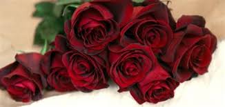 فادخلت فيها بعض وصفات الطبخ لكن الفيديوهات المركبة بتحصل على مشاهدات عالية اكثر من. ØªØ¹Ù„Ù… Ù‡Ø°Ù‡ ÙÙŠÙ„Ù… Ø§Ù„ÙˆØ±Ø¯Ø© Ø§Ù„Ø­Ù…Ø±Ø§Ø¡ Ø§ÙˆÙ† Ù„Ø§ÙŠÙ†