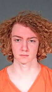 Fall River teen accused of stabbing, running over girl in Beaver Dam pleads  not guilty