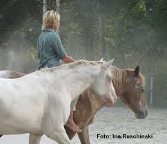 Спайк шпигель / spike spiegel. Seelengefahrte Pferd Naturalhorse Uber Den Achtsamen Umgang Mit Pferden