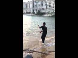 Port dickson sememangnya terkenal dengan tempat percutian. Ikan Pari Port Dickson Jeti Panjang Belakang Hotel Marina Youtube