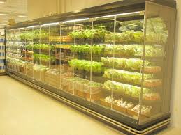Concept Fruits Et Legumes Fruits Et Legumes Fruits Legumes