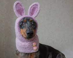 Knitting Pattern Dog Hat Dachshund Hat Pet Clothes Pet Etsy In 2021 Dog Hat Mini Dachshund Dachshund Hat