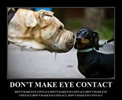 Image result for Natural funny image