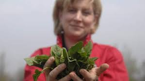 Is local Hamilton food better for you?