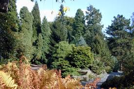 3500 arten, verteilt auf zwei gewächshauskomplexe und 2300 m² freilandflächen. Botanischer Garten Essen