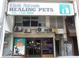 Veterinary practice isn't just about healing and caring for animal friends. 20 Veterinarians Animal Hospitals In Klang Valley Sorted By Location
