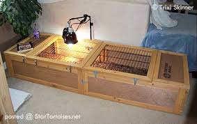 Why did i make a russian tortoise table? Other Keepers Setups Tortoise Tables