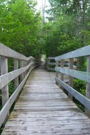 The structure is a natural log house with a stone chimney, a poplar floor, cedar shingles, and spruce window frames. Boardwalk Along Trail To Old Timers Cabin Picture Of Itasca State Park Lake Itasca Tripadvisor
