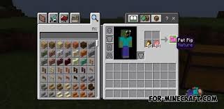 Today we're looking at h. Inventory Pets Addon V2 For Minecraft Pe 1 13 1 14