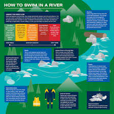 Can You Swim In The Brisbane River? Councillor Thinks It Could Be Possible  | The Courier Mail