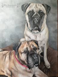 Zeichnung Hunde Zeichnen Polychromos Hund Zeichnungen Von Maria Wilsdorf Bei Kunstnet
