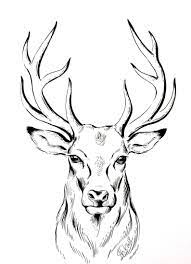 Pin On Dibujos Poh