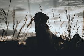 Billy Graham Daily Devotion: Count Your Blessings