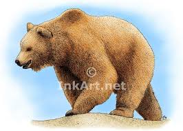 Full Color Illustration Of A Grizzly Bear Ursus Arctos Horribilis Bear Drawing Grizzly Bear Ursus
