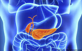 Check 'gallenkolik' translations into english. Gallenblasenentzundung Meine Gesundheit