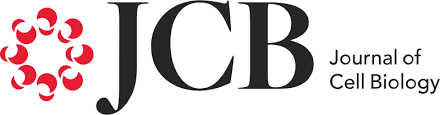 We did not find results for: Journal Of Cell Biology Jcb Rockefeller University Press