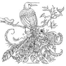 Robot Check Animorphia Coloring Book Animorphia Coloring Animal Coloring Pages