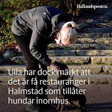 .посмотрите в instagram фото и видео hallandsposten (@hallandsposten). Hallandsposten Home Facebook