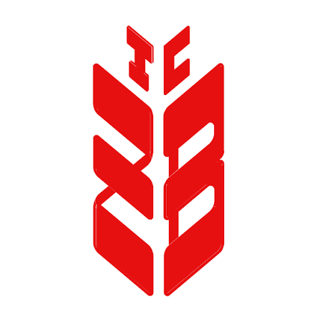 KZI Bank