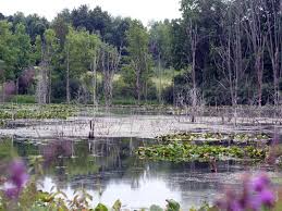 About press copyright contact us creators advertise developers terms privacy policy & safety how youtube works test new features press copyright contact us creators. Pokagon State Park An Indiana State Park Located Near Angola Coldwater