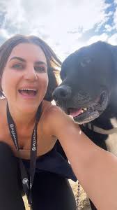 Have had overwhelming response****** please bear with me Hi all! I just  wanted to introduce myself and share a photo I took of our doggies Tayto