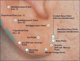 Auricular Acupuncture Points Acupuncture Acupuncture Points Acupressure