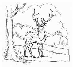 Hirsch Malvorlage Coloring And Malvorlagan