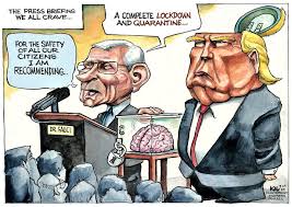 The massive dump of emails from dr. Donald Trump Mike Pence Anthony Fauci Coronavirus Covid 19 Brain Pandemic Crisis Leadership Management Elections Cartoon Ruanofaxas